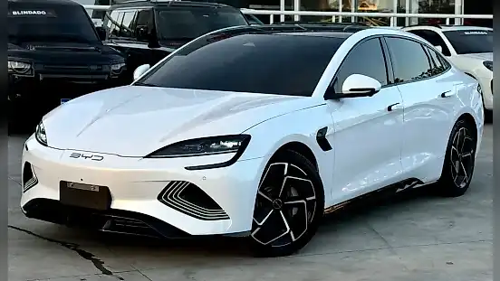 Foto de um byd seal