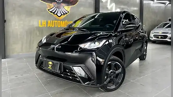 Foto de um byd dolphin mini