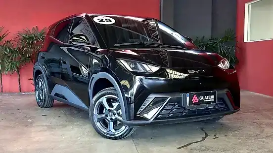 Foto de um byd dolphin mini