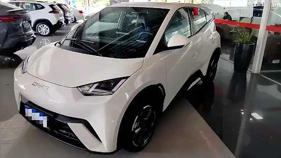 Foto de um byd dolphin