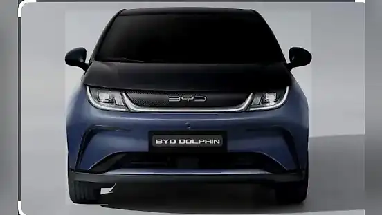 Foto de um byd dolphin