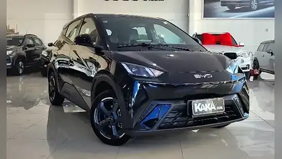 Foto de um byd dolphin mini