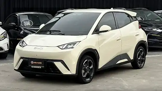 Foto de um byd dolphin mini