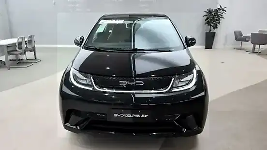 Foto de um byd dolphin