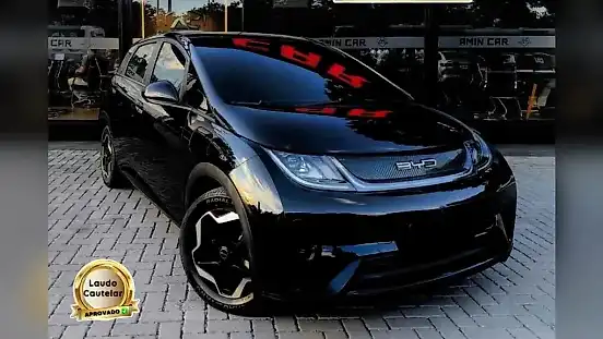 Foto de um byd dolphin