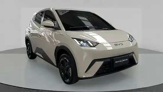 Foto de um byd dolphin mini