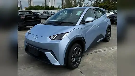 Foto de um byd dolphin mini