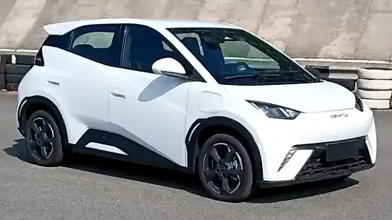 Foto de um byd dolphin mini