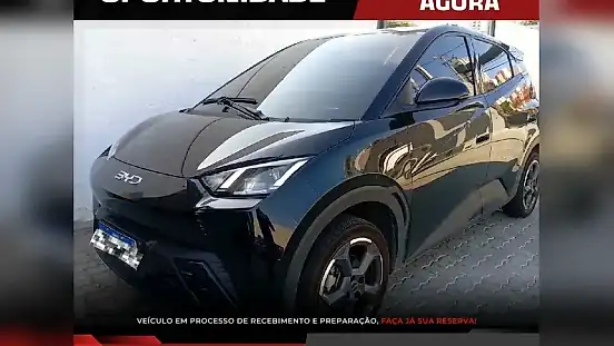 Foto de um byd dolphin mini