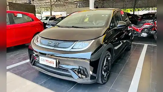 Foto de um byd dolphin