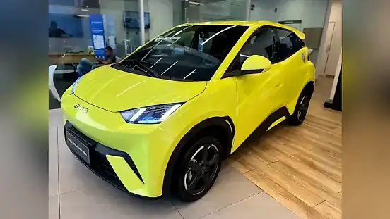 Foto de um byd dolphin mini