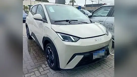 Foto de um byd dolphin mini