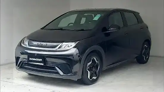 Foto de um byd dolphin