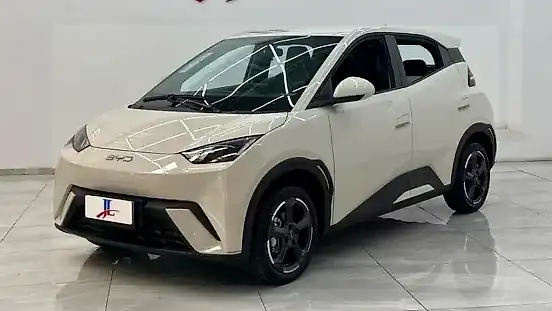 Foto de um byd dolphin