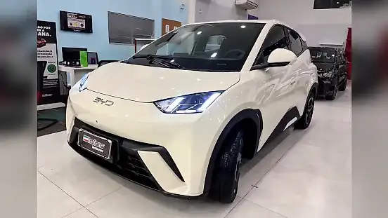 Foto de um byd dolphin mini