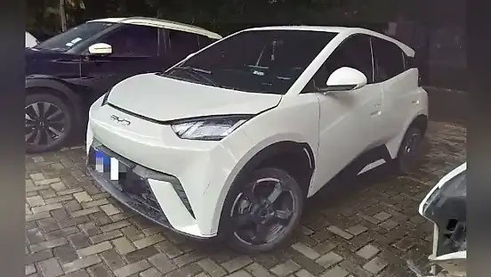 Foto de um byd dolphin mini