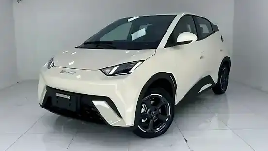 Foto de um byd dolphin mini