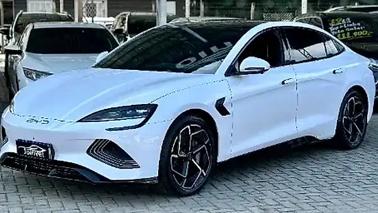 Foto de um byd seal