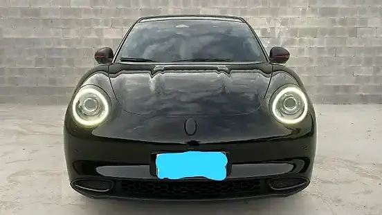 Foto de um gwm ora 03