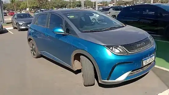 Foto de um byd dolphin