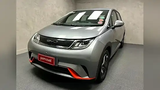 Foto de um byd dolphin