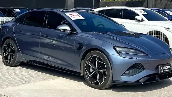 Foto de um byd seal