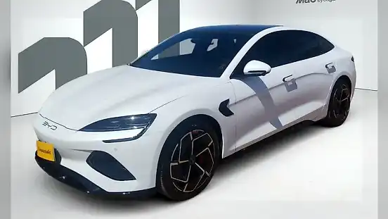 Foto de um byd seal