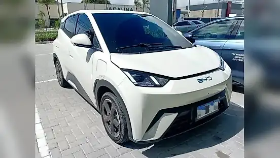 Foto de um byd dolphin mini