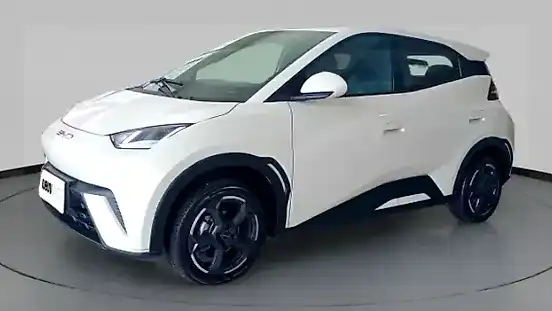 Foto de um byd dolphin mini