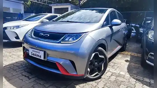 Foto de um byd dolphin