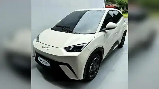 Foto de um byd dolphin