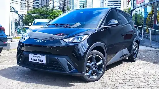 Foto de um byd dolphin mini