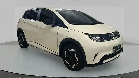 Foto de um byd dolphin