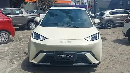 Foto de um byd dolphin mini