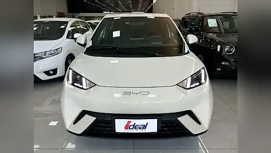 Foto de um byd dolphin mini
