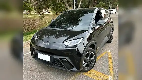 Foto de um byd dolphin mini