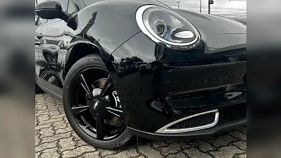 Foto de um gwm ora