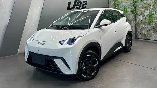 Foto de um byd dolphin mini