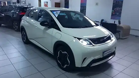 Foto de um byd dolphin