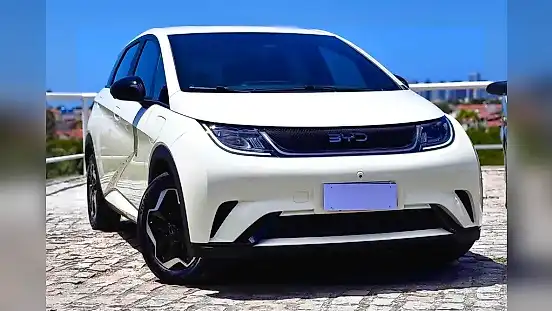 Foto de um byd dolphin