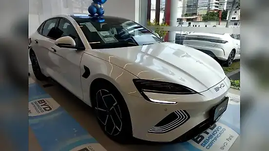 Foto de um byd seal