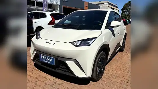 Foto de um byd dolphin mini