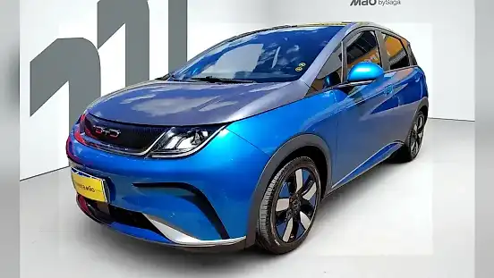 Foto de um byd dolphin