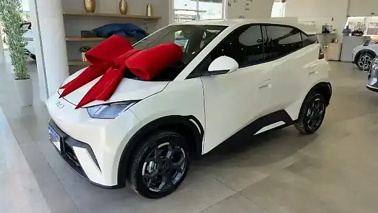 Foto de um byd dolphin mini