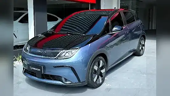 Foto de um byd dolphin