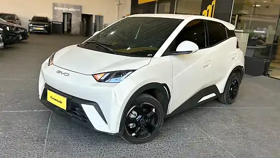 Foto de um byd dolphin mini