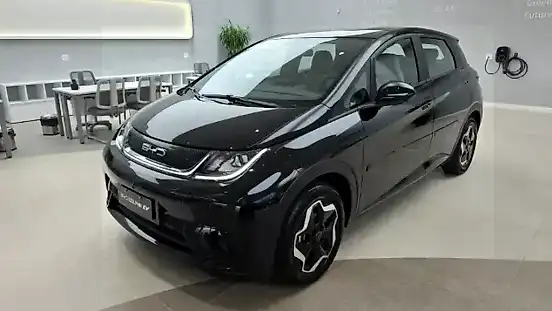 Foto de um byd dolphin