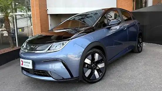 Foto de um byd dolphin