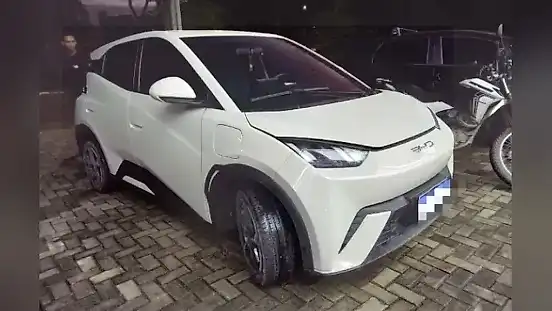 Foto de um byd dolphin mini