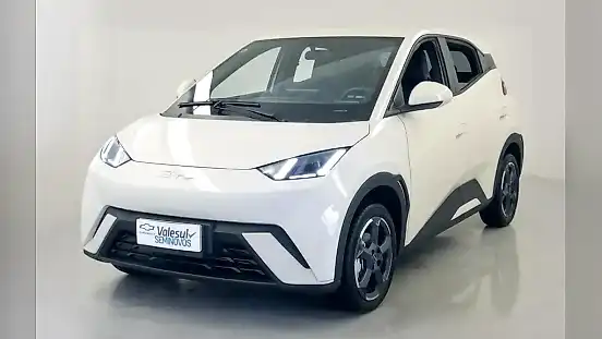 Foto de um byd dolphin mini